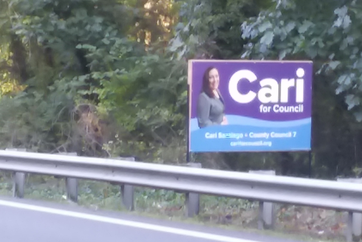 DISTRICT 7 CAMPAIGN SIGN CONTROVERSY